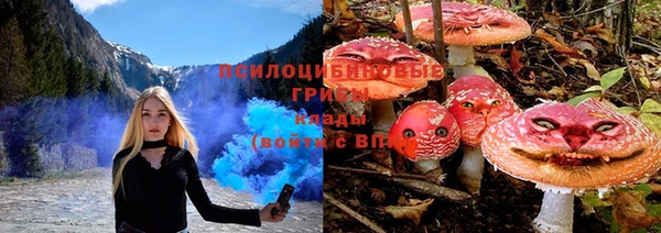 не бодяженный Алзамай