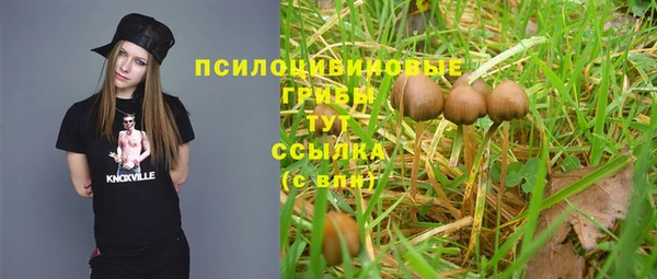 не бодяженный Алзамай