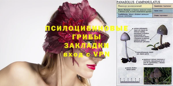 не бодяженный Алзамай