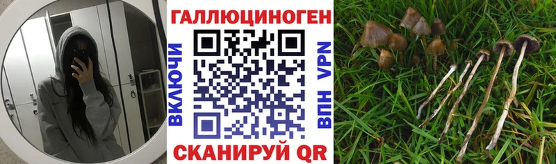 Псилоцибиновые грибы мухоморы  наркота  Карачев 